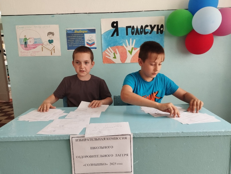 Выборы президента лагеря "Солнышко".